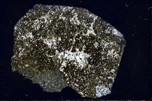 Cross Polarized, S49495