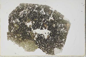 Plane Polarized, S49495