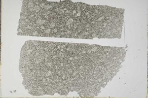 Plane Polarized, S49496