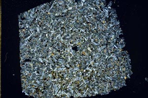 Cross Polarized, S49505