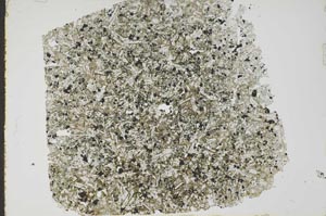 Plane Polarized, S49505