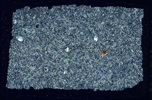 Cross Polarized, S49507