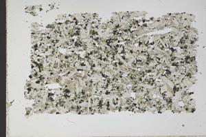 Plane Polarized, S49508