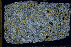 Cross Polarized, S49509