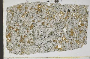 Plane Polarized, S49509