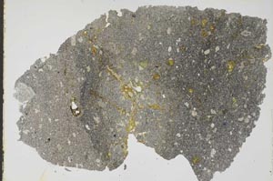 Plane Polarized, S49511