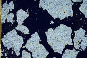 Cross Polarized, S49512