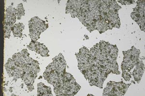 Plane Polarized, S49512