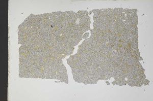 Plane Polarized, S49514