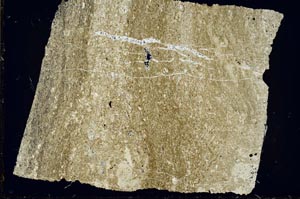 Cross Polarized, S49515