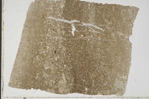 Plane Polarized, S49515