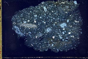 Cross Polarized, S49519