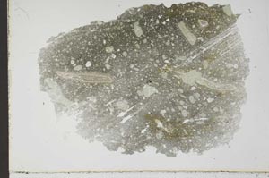 Plane Polarized, S49519