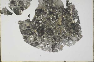 Plane Polarized, S49522