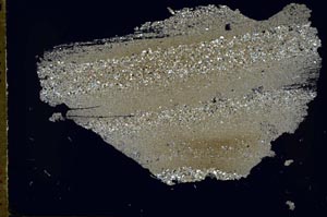 Cross Polarized, S49528