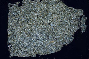 Cross Polarized, S49529