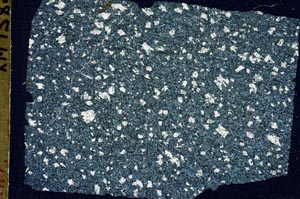 Cross Polarized, S49530