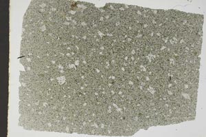 Plane Polarized, S49530