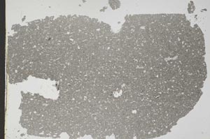 Plane Polarized, S49535