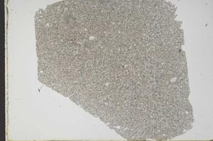 Plane Polarized, S49536