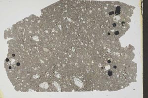 Plane Polarized, S49539