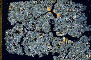 Cross Polarized, S49547