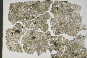 Plane Polarized, S49547