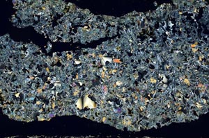 Cross Polarized, S49547/A