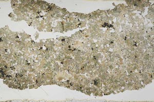 Plane Polarized, S49547/A