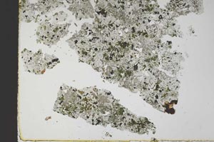 Plane Polarized, S49548