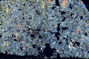 Cross Polarized, S49548/A