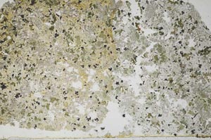 Plane Polarized, S49548/A