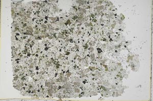 Plane Polarized, S49549