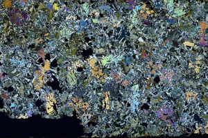 Cross Polarized, S49549/A