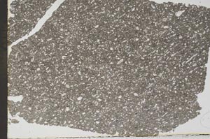 Plane Polarized, S49550