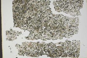 Plane Polarized, S49552