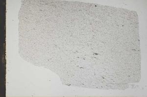 Plane Polarized, S49555