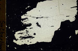 Cross Polarized, S49598