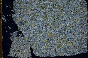 Cross Polarized, S49606