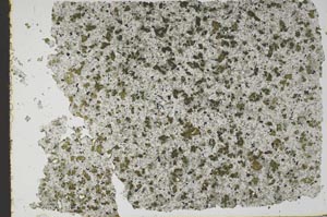 Plane Polarized, S49606