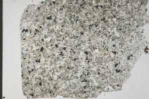 Plane Polarized, S49607