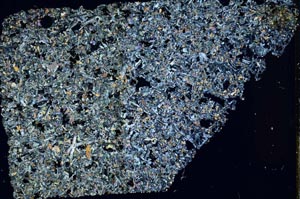 Cross Polarized, S49607/A