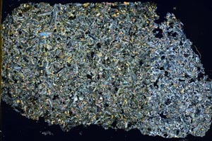 Cross Polarized, S49607/B