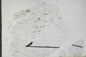Plane Polarized, S49618