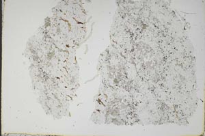 Plane Polarized, S49621
