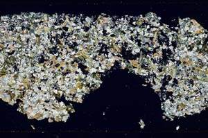 Cross Polarized, S49622