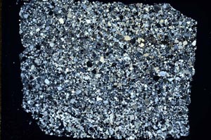 Cross Polarized, S49625