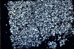 Cross Polarized, S49626