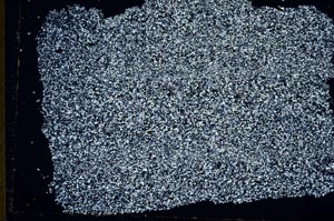 Cross Polarized, S49627