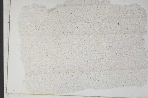 Plane Polarized, S49627